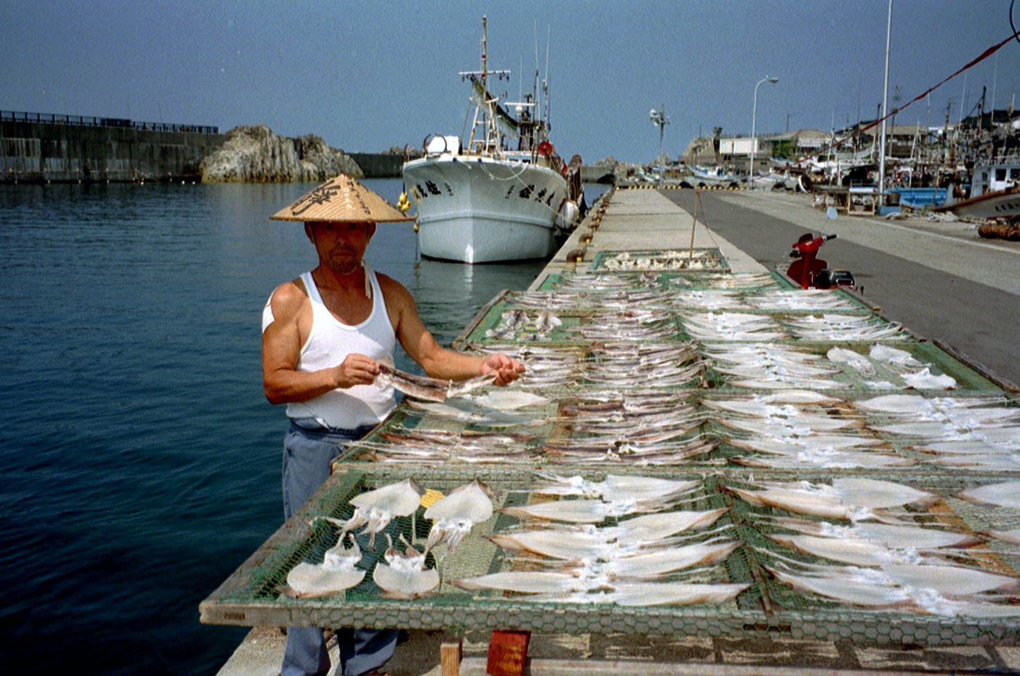 Ika