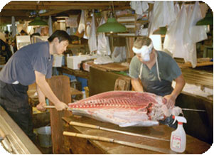 Man Cutting Fish