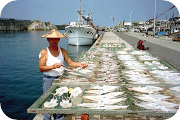 Fisherman in Sado