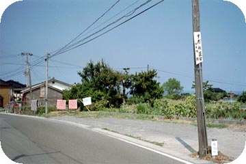 Sado Street